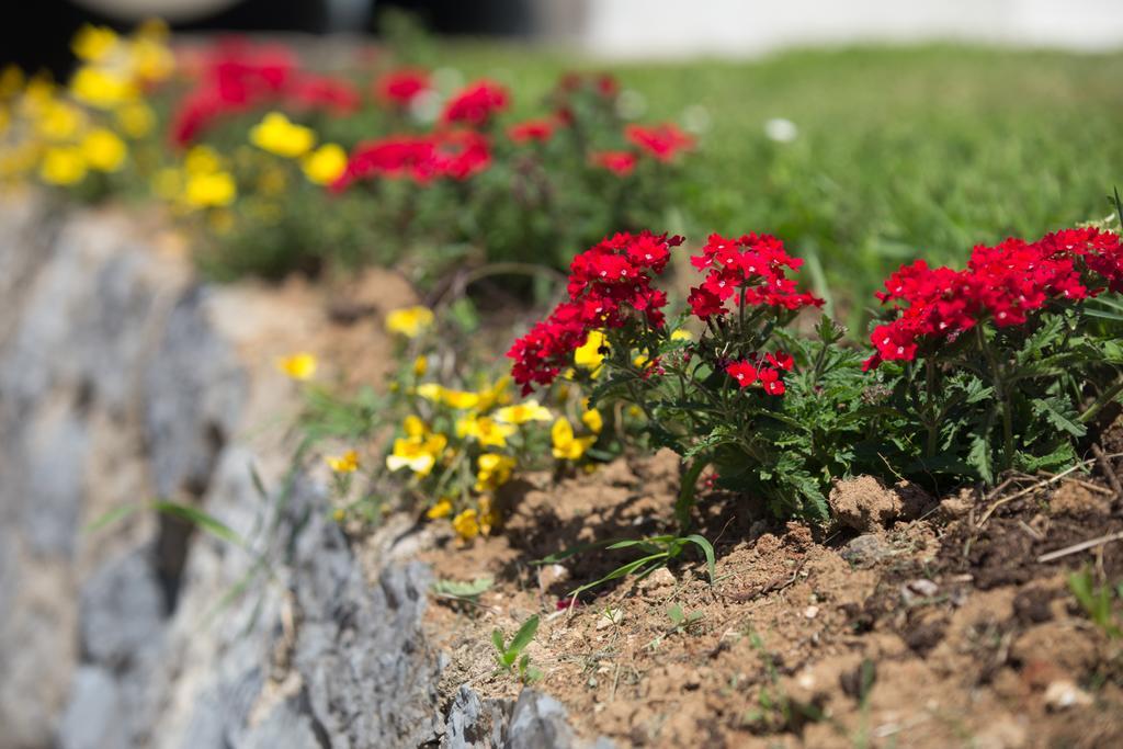 אוטוצאץ Apartment Oreskovic מראה חיצוני תמונה